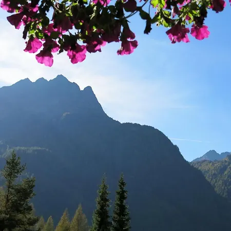 게스트하우스 Gaestehaus Judith 란켄펠트